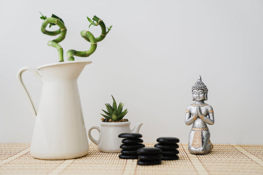 Plantele și Feng Shui-ul: cum atrag energiile pozitive în casă
